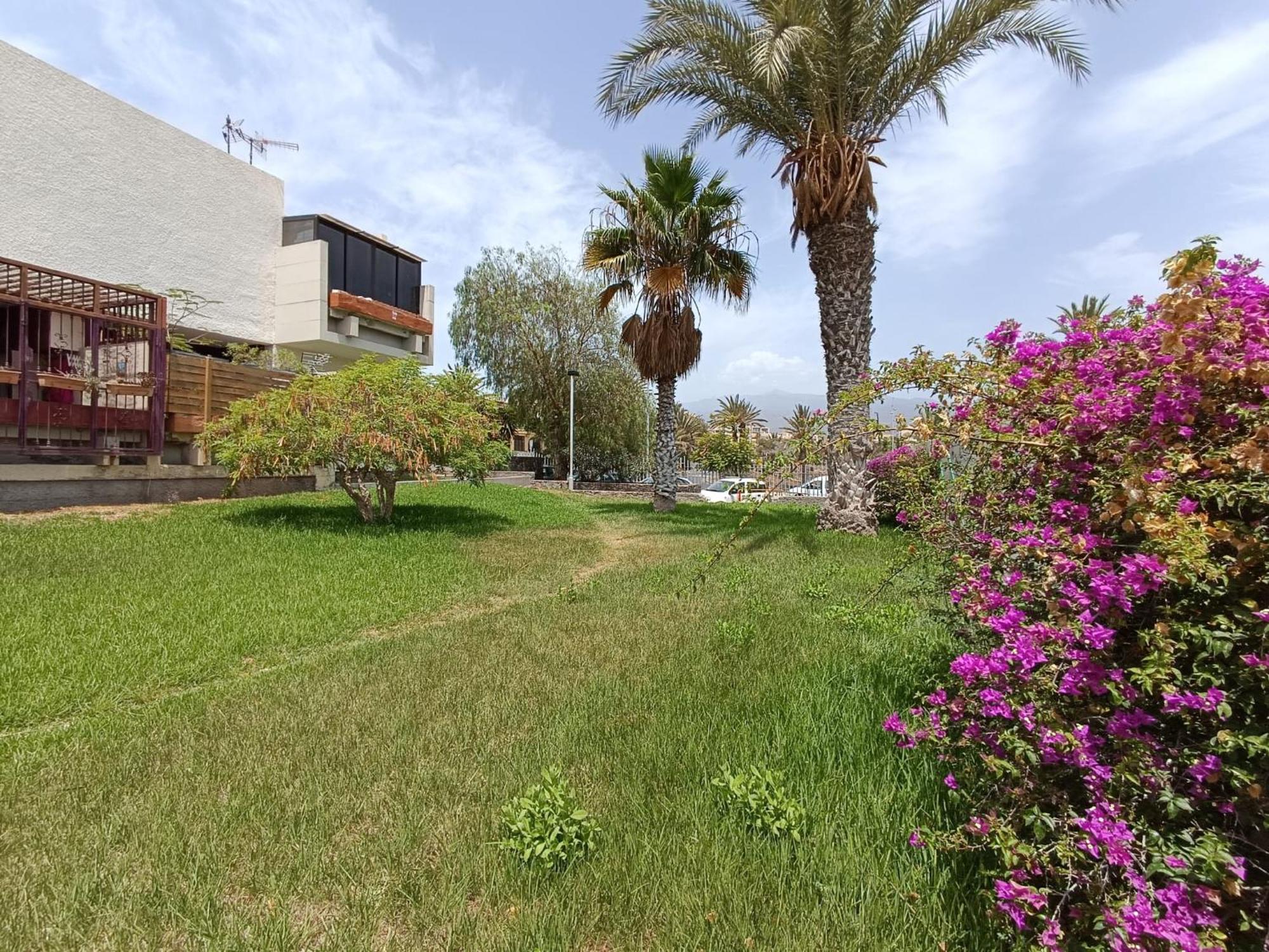 Apartment Tenerife South Coast Costa Del Silencio Extérieur photo